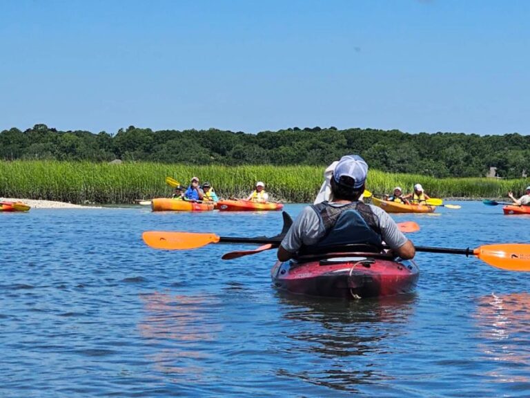 Discover the Hidden Wonders of Hilton Head Island with a Private Kayak Tour