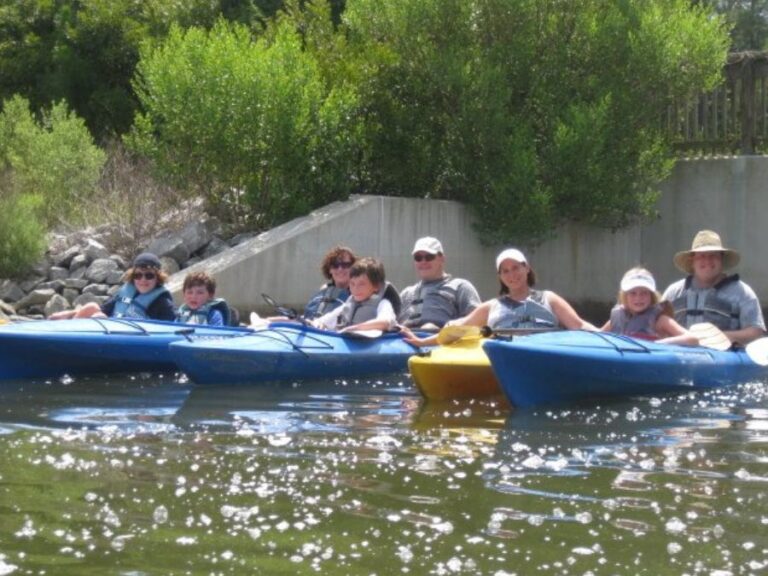 Guided Kayak Tours in Palmetto Dunes: Paddle Into the Heart of the Lowcountry