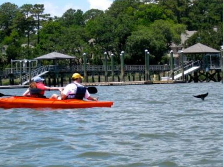 Private Nature Tours in Sea Pines: Experience the Untamed Beauty with Kayak Hilton Head